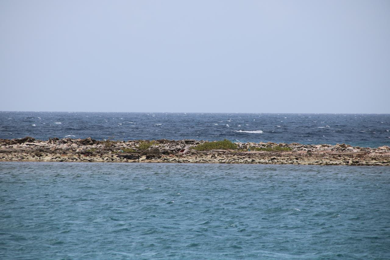 Coral Reef Beach Savaneta Exterior foto
